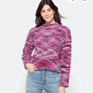 Chic Multicolor Women's Turtleneck Sweater